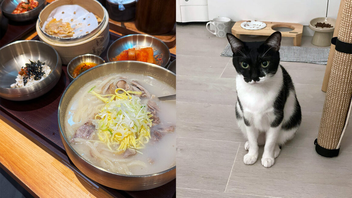 Dinner with my goddess