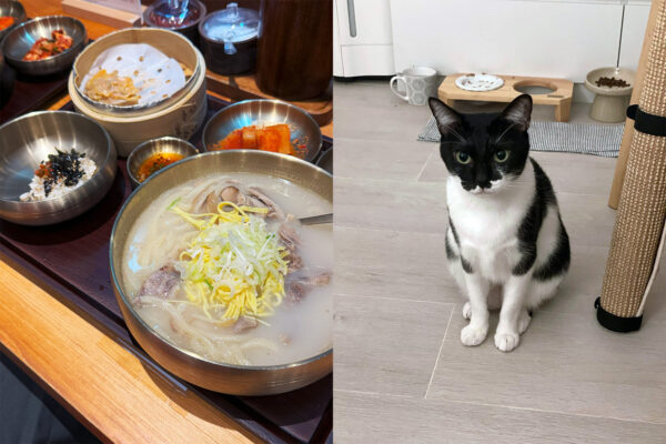 Dinner with my goddess